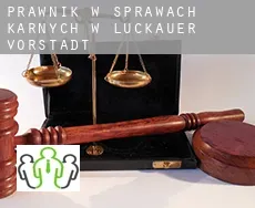 Prawnik w sprawach karnych w  Luckauer Vorstadt