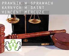 Prawnik w sprawach karnych w  Saint-Vincent-de-Mercuze