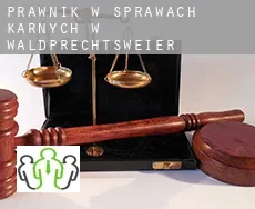 Prawnik w sprawach karnych w  Waldprechtsweier