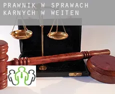 Prawnik w sprawach karnych w  Weiten