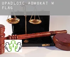 Upadłość adwokat w  Flag