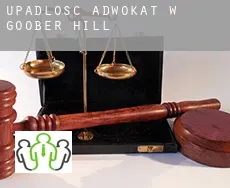 Upadłość adwokat w  Goober Hill