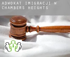 Adwokat imigracji w  Chambers Heights