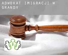 Adwokat imigracji w  Grandy