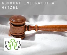 Adwokat imigracji w  Hetzel