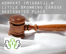 Adwokat imigracji w  Little Browning
