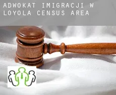 Adwokat imigracji w  Loyola (census area)
