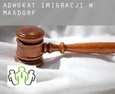 Adwokat imigracji w  Maxdorf
