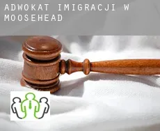 Adwokat imigracji w  Moosehead