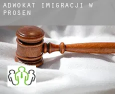 Adwokat imigracji w  Prösen