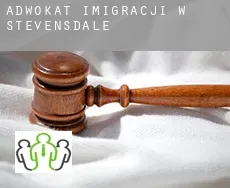 Adwokat imigracji w  Stevensdale
