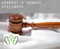 Adwokat w  Domäne Avelsbach