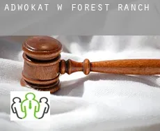 Adwokat w  Forest Ranch