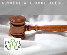 Adwokat w Llandefaelog