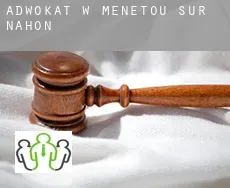 Adwokat w  Menetou-sur-Nahon