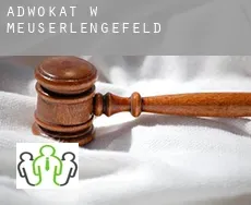 Adwokat w  Meuserlengefeld