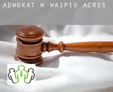 Adwokat w  Waipi‘o Acres