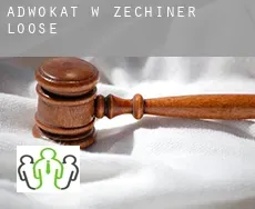 Adwokat w  Zechiner Loose