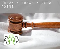 Prawnik praca w  Cedar Point