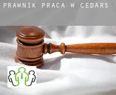 Prawnik praca w  Cedars