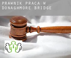 Prawnik praca w  Donaghmore Bridge