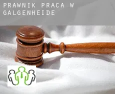 Prawnik praca w  Galgenheide