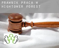 Prawnik praca w  Hightower Forest