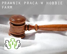 Prawnik praca w  Hobbie Farm