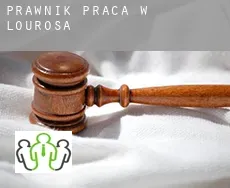 Prawnik praca w  Lourosa