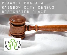 Prawnik praca w  Rainbow City