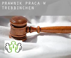 Prawnik praca w  Trebbinchen