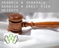 Prawnik w sprawach karnych w Crest View Heights