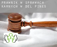 Prawnik w sprawach karnych w  Del Pines