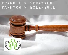 Prawnik w sprawach karnych w  Écléneuil