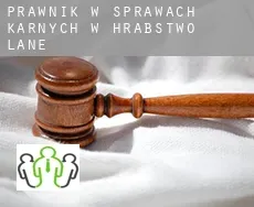 Prawnik w sprawach karnych w  Hrabstwo Lane