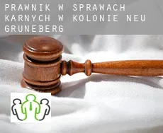 Prawnik w sprawach karnych w  Kolonie Neu Grüneberg