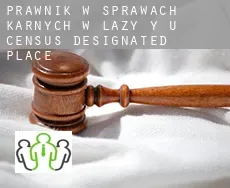 Prawnik w sprawach karnych w  Lazy Y U