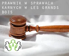 Prawnik w sprawach karnych w  Les Grands Bois