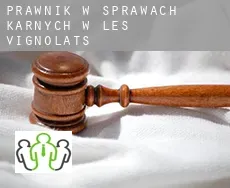 Prawnik w sprawach karnych w  Les Vignolats