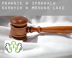 Prawnik w sprawach karnych w  Mohonk Lake