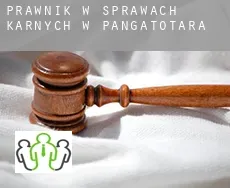 Prawnik w sprawach karnych w  Pangatotara