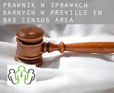 Prawnik w sprawach karnych w  Préville-en-Bas (census area)
