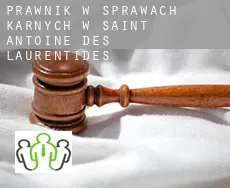 Prawnik w sprawach karnych w  Saint-Antoine-des-Laurentides
