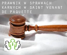 Prawnik w sprawach karnych w  Saint-Venant-de-Paquette