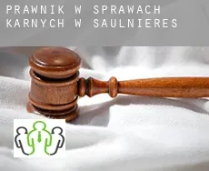 Prawnik w sprawach karnych w Saulnières