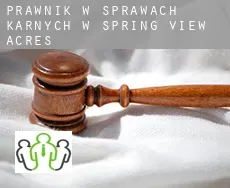 Prawnik w sprawach karnych w  Spring View Acres