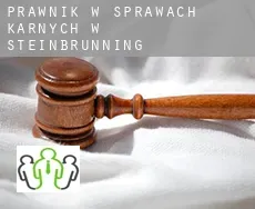 Prawnik w sprawach karnych w  Steinbrünning