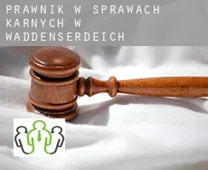 Prawnik w sprawach karnych w  Waddenserdeich