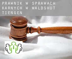 Prawnik w sprawach karnych w  Waldshut-Tiengen