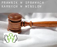 Prawnik w sprawach karnych w  Winslow